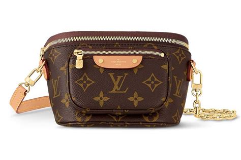 mini louis vuitton purse|bumbag louis vuitton.